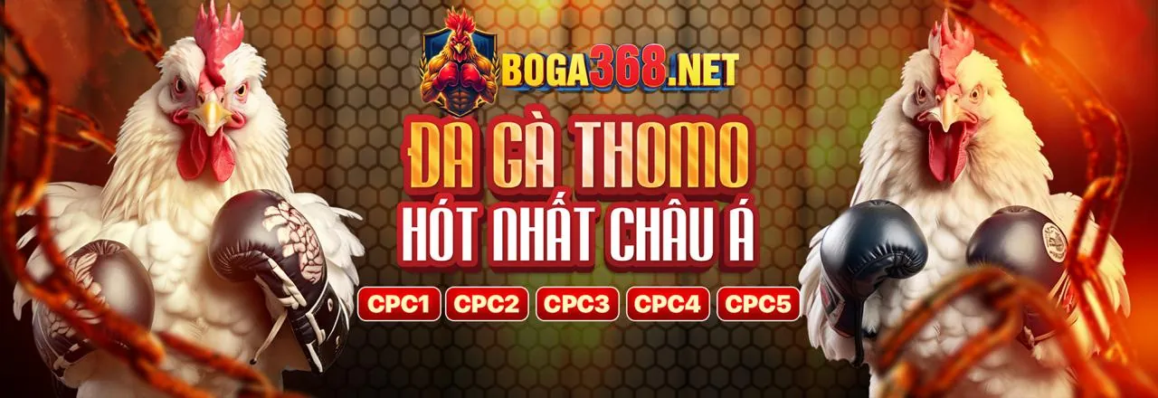 Cấp độ VIP Bạch Kim của vin777app